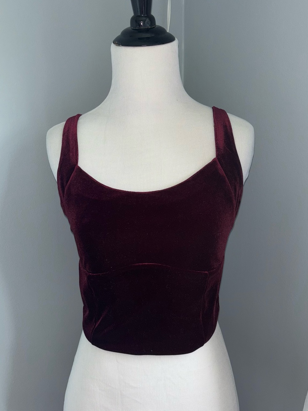Garage Velvet Crop Top in Burgundy